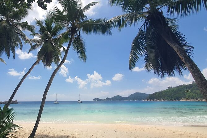 5 Hour Private Customize Tour of Mahe, Seychelles - Takamaka Rum Distillery: plantation setting and a paid tasting