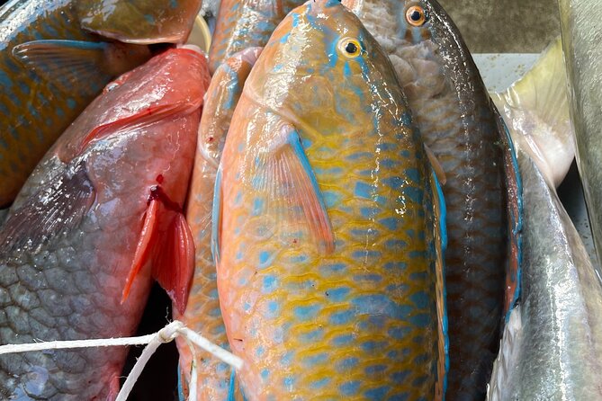 5 Hour Private Customize Tour of Mahe, Seychelles - Anse Royale Beach: one hour to slow down