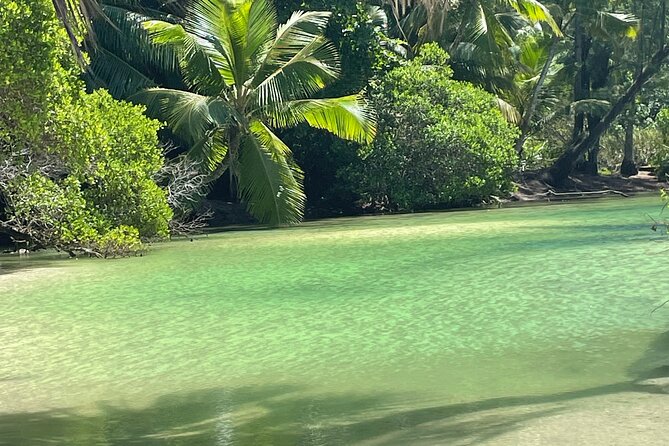 5 Hour Private Customize Tour of Mahe, Seychelles - Domaine de Val des Pres and the craft village
