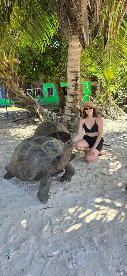 Curieuse and St. Pierre Islands Day Trip with BBQ Lunch - Curieuse begins with tortoises and island nature