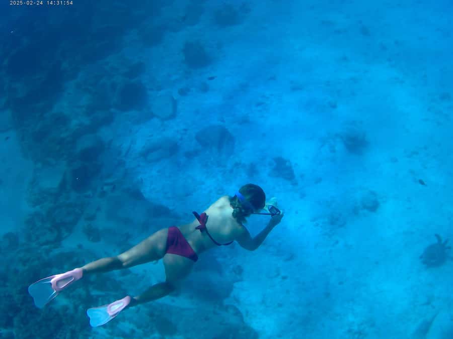 Curieuse and St Pierre Snorkeling Half-Day Trip No BBQ Lunch - What this Praslin boat trip actually includes