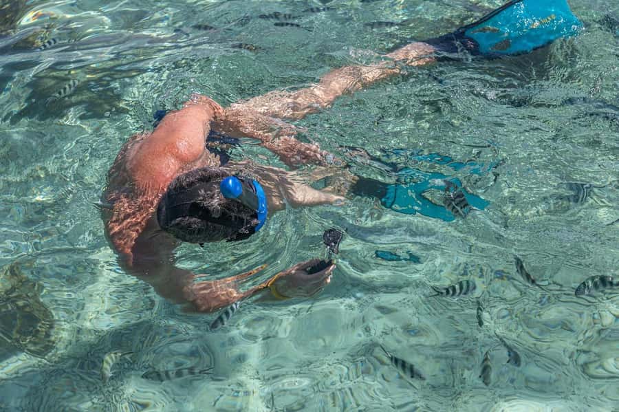 Curieuse and St Pierre Snorkeling Half-Day Trip No BBQ Lunch - The morning schedule from Praslin
