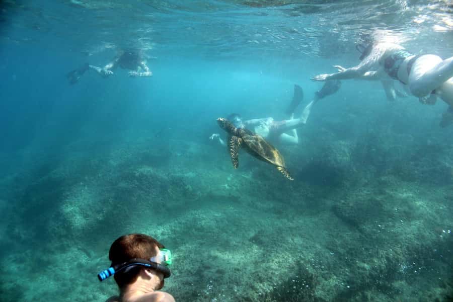 Curieuse Guided Tour, St Pierre, BBQ & 2 Snorkel Stops - A smooth start from your Praslin hotel