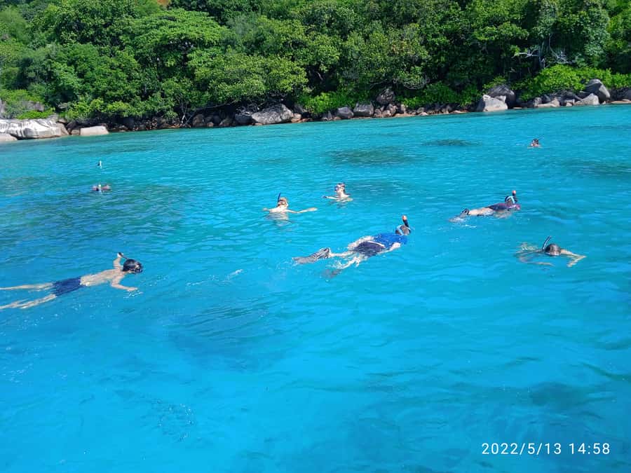 Curieuse Guided Tour, St Pierre, BBQ & 2 Snorkel Stops - St Pierre, reef photos, and the second snorkel