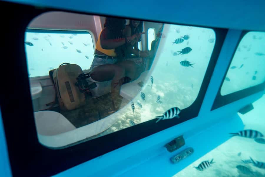 Eden Island: Semi-Submarine Tour in St. Anne Marine Park - Inside the air-conditioned underwater cabin