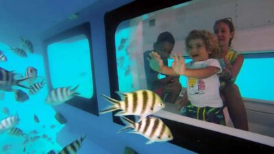 Eden Island: Semi-Submarine Tour in St. Anne Marine Park