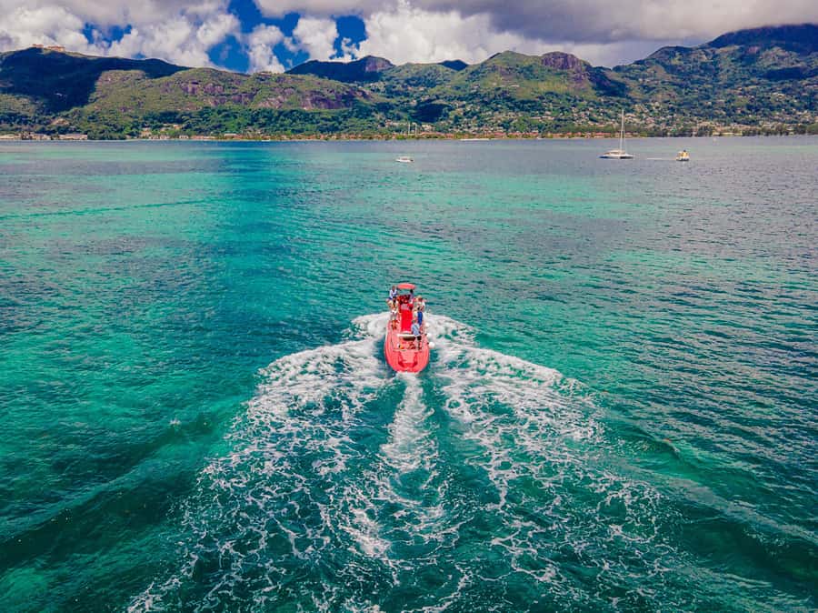 Eden Island: Semi-Submarine Tour in St. Anne Marine Park - What the $64 price includes