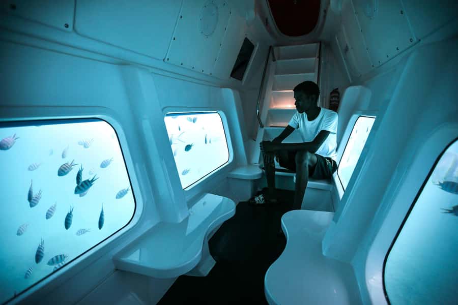 Eden Island: Semi-Submarine Tour in St. Anne Marine Park - Guide service and the human touch