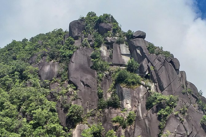 Explore 'Dans Gallas Trail' - Walking the 2.9km climb through native plants