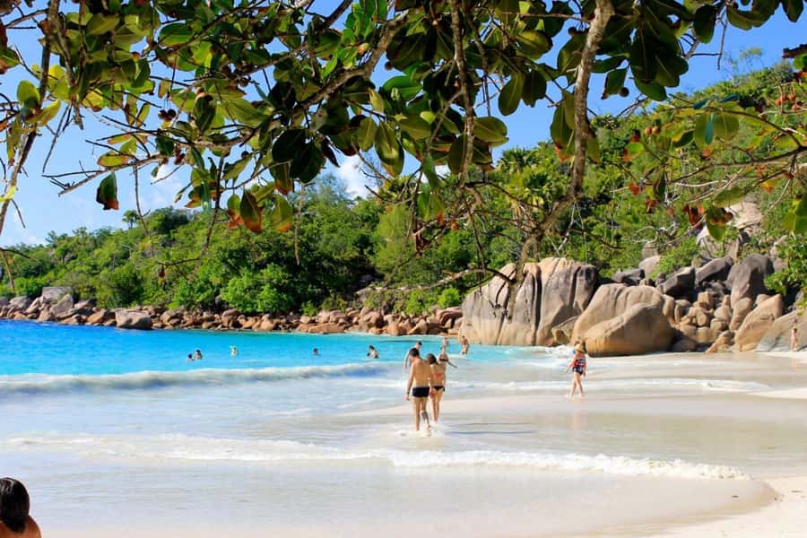 From Mahe eden island to Praslin & Ladigue Daytrip - Why timing matters more than the brochure suggests