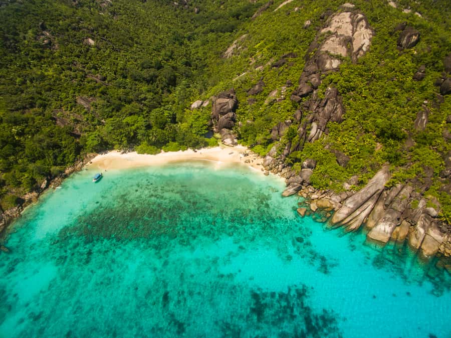 From Mahe: Guided Nature Trail Walk to Anse Major Beach - What the $270 price really includes