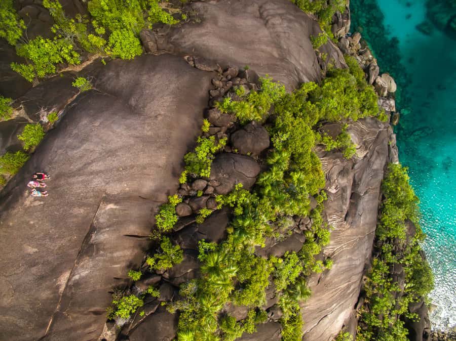 From Mahe: Guided Nature Trail Walk to Anse Major Beach - What to pack for five hours outside