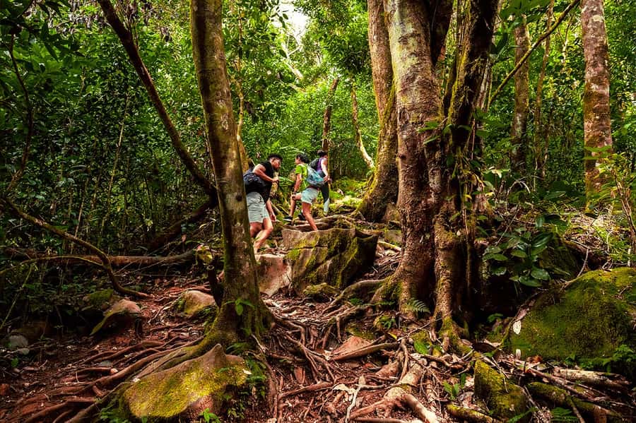 From Mahe: Guided Nature Trail Walk to Morne Blanc - Key points at a glance