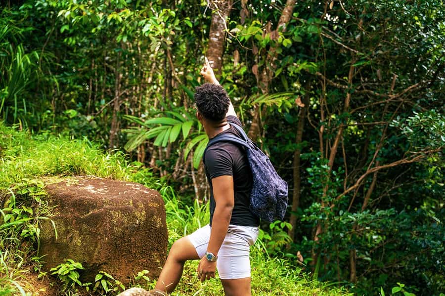From Mahe: Guided Nature Trail Walk to Morne Blanc - Starting above the Tea Tavern at Sans Soucis