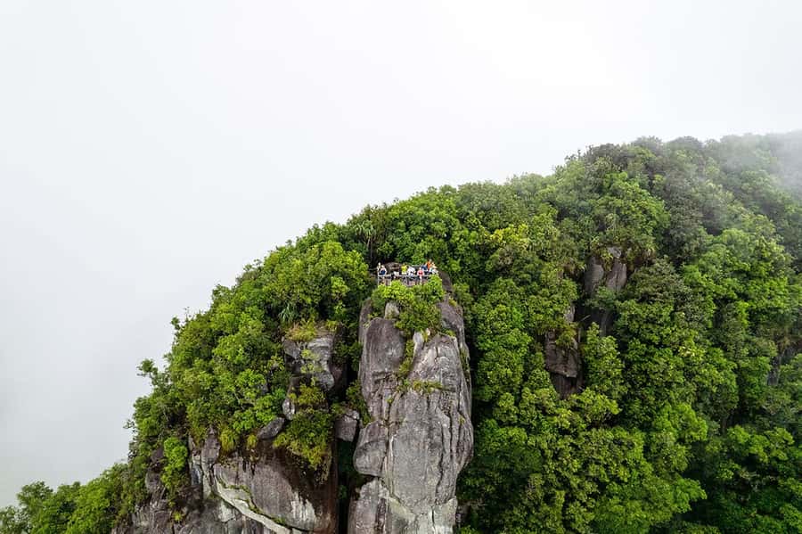 From Mahe: Guided Nature Trail Walk to Morne Blanc - Vacoa, pitcher plants, and seasonal fruit trees