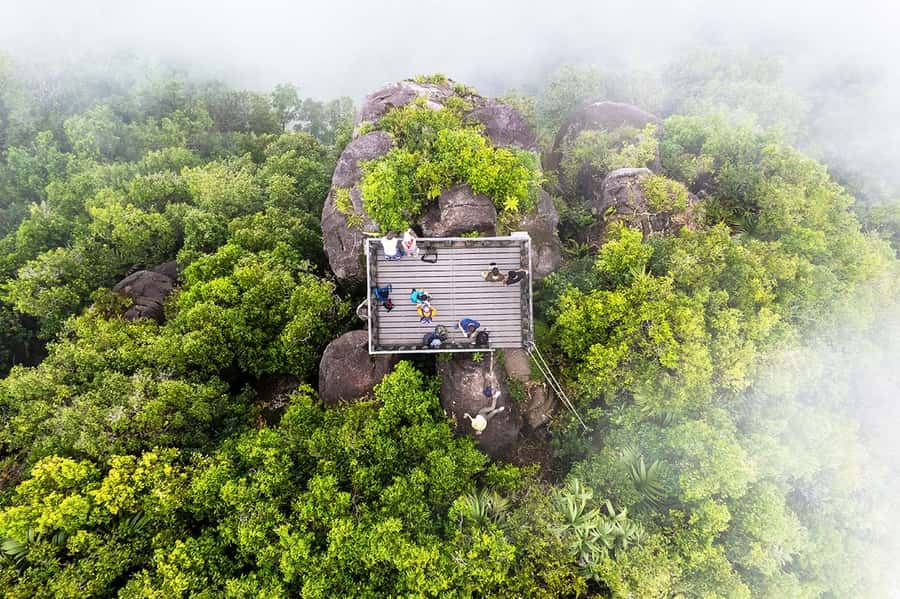 From Mahe: Guided Nature Trail Walk to Morne Blanc - Birdwatching along the shaded trail