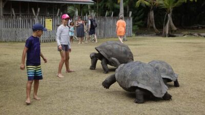 From Praslin: Cousin, Curieuse & St Pierre Islands Day Tour