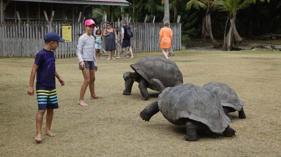 From Praslin: Cousin, Curieuse & St Pierre Islands Day Tour - Cousin Island: the strongest part for nature lovers