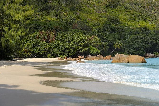 Full Day Discovery Tour of Vallee de Mai and Anse Lazio on Praslin Island - Moving from forest to Anse Lazio