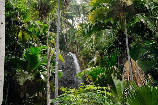 Full Day Discovery Tour of Vallee de Mai and Anse Lazio on Praslin Island - Who will get the most from this day
