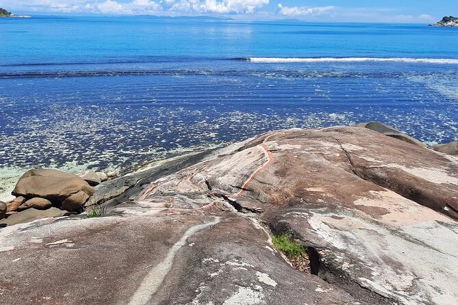 Full Day Reef Safari at St Anne Marine Park Seychelles - Why This Full-Day Boat Trip Works