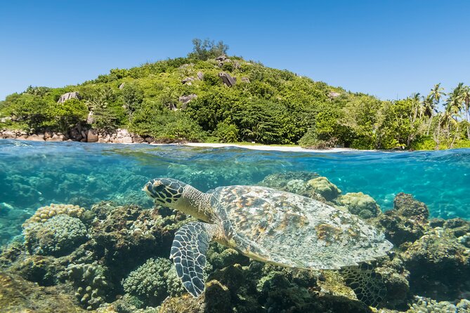 Full Day Reef Safari at St Anne Marine Park Seychelles - What the $146.43 Price Really Buys