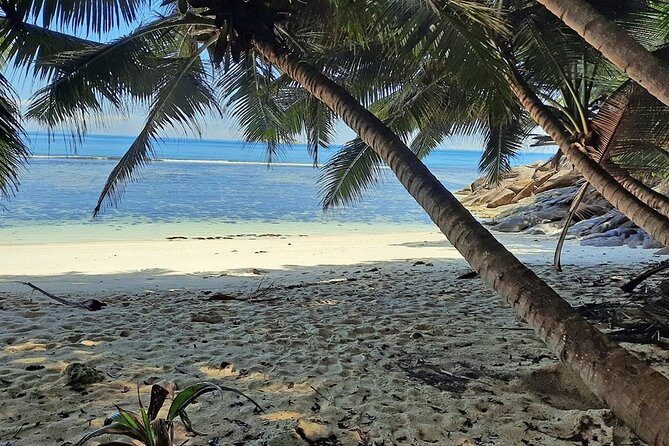 Full Day Reef Safari at St Anne Marine Park Seychelles - Group Size, Boarding, and Comfort
