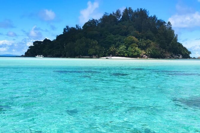 Full Day Reef Safari at St Anne Marine Park Seychelles - Communication Before the 9:30 Departure