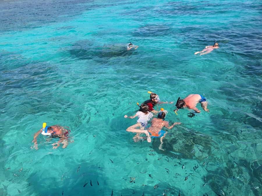 Glassbottom boat & Crystalkayak SteAnneMarinePark Snorkeling - Creole barbecue lunch on Cerf Island