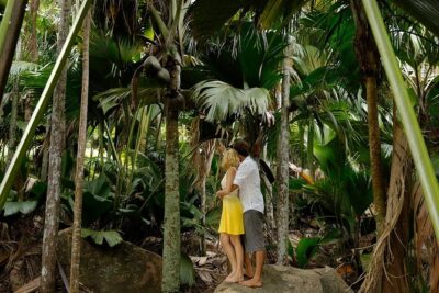 Half Day Discovery Tour of Vall&eacute;e de Mai on Praslin Island