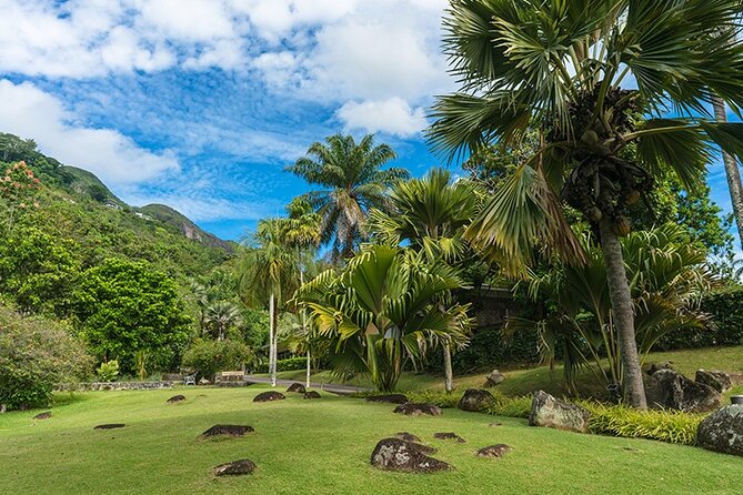 Half Day Discovery Tour of Victoria - Seychelles Capital on Mahe Island - Colonial Sights, La Misere, and the Victoria Museum