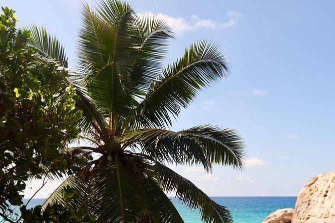 Half-Day Mahe private Tour - What the private vehicle and guide add