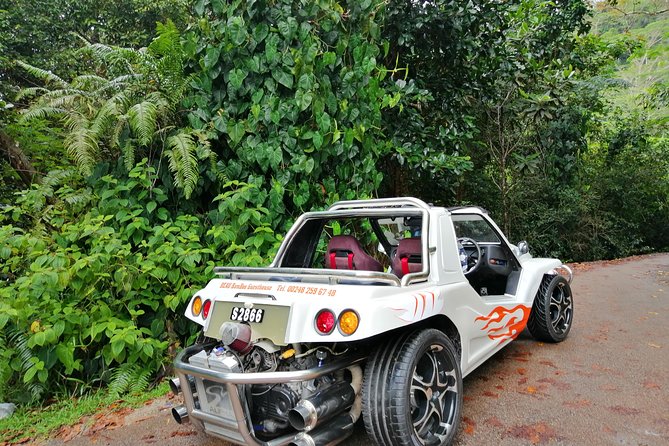 Island tour with the beach buggy - Five things to know before you book