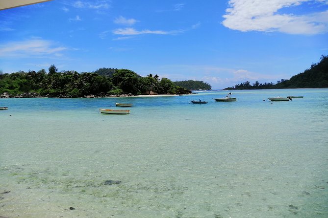 Island tour with the beach buggy - Beaches, fruit, and the places between stops