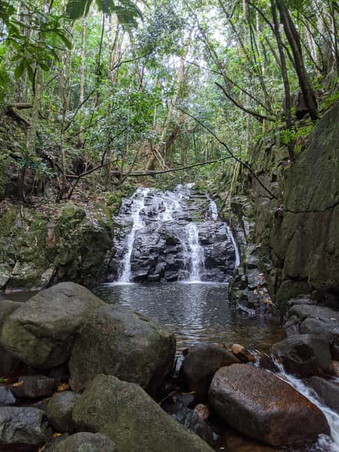 Jungle Adventure Hike:Climb, Waterfall, Discover Seychelles! - Pickup keeps the day simple