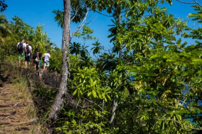 Mahé: Baie Ternay Park Catamaran Cruise with BBQ Lunch