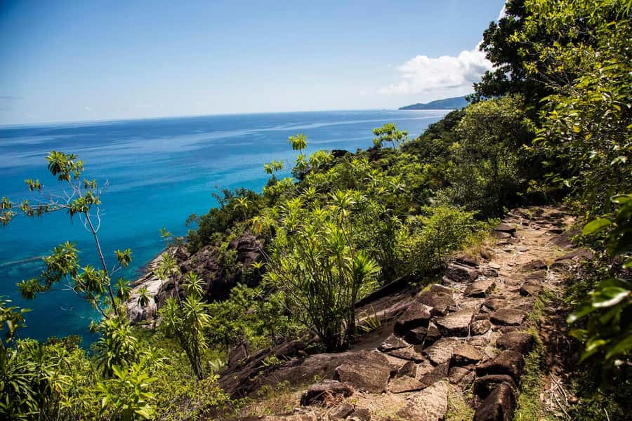 Mahé: Baie Ternay Park Catamaran Cruise with BBQ Lunch - A BBQ Lunch on the Catamaran