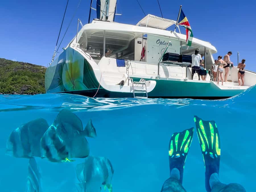 Mahé: Baie Ternay Park Catamaran Cruise with BBQ Lunch - Practical Tips for a Better Day