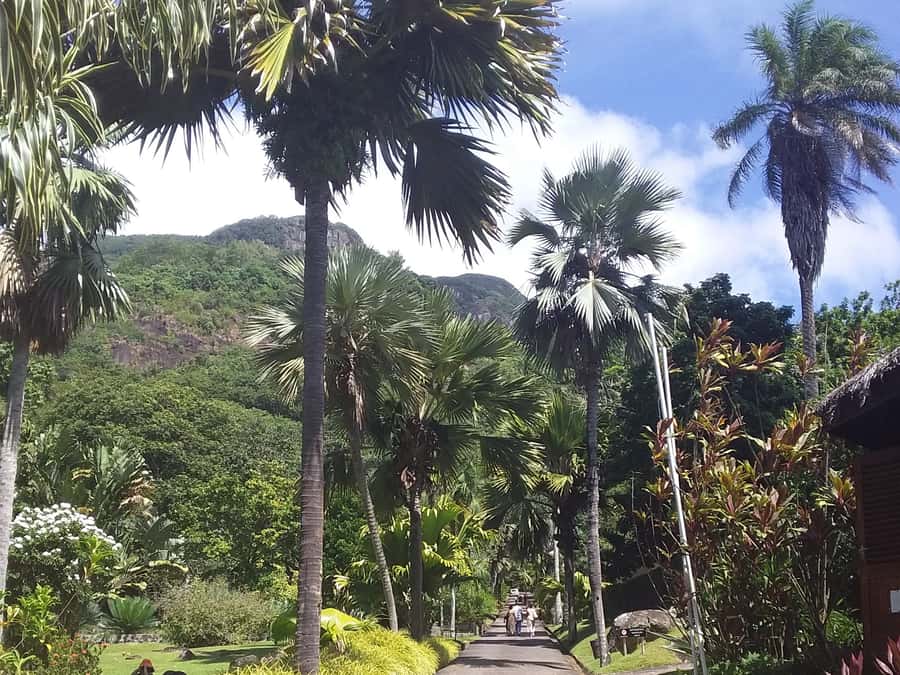 Mahé: Customizable Private Tour of Island with Driver - Price, timing, and who gets the best value