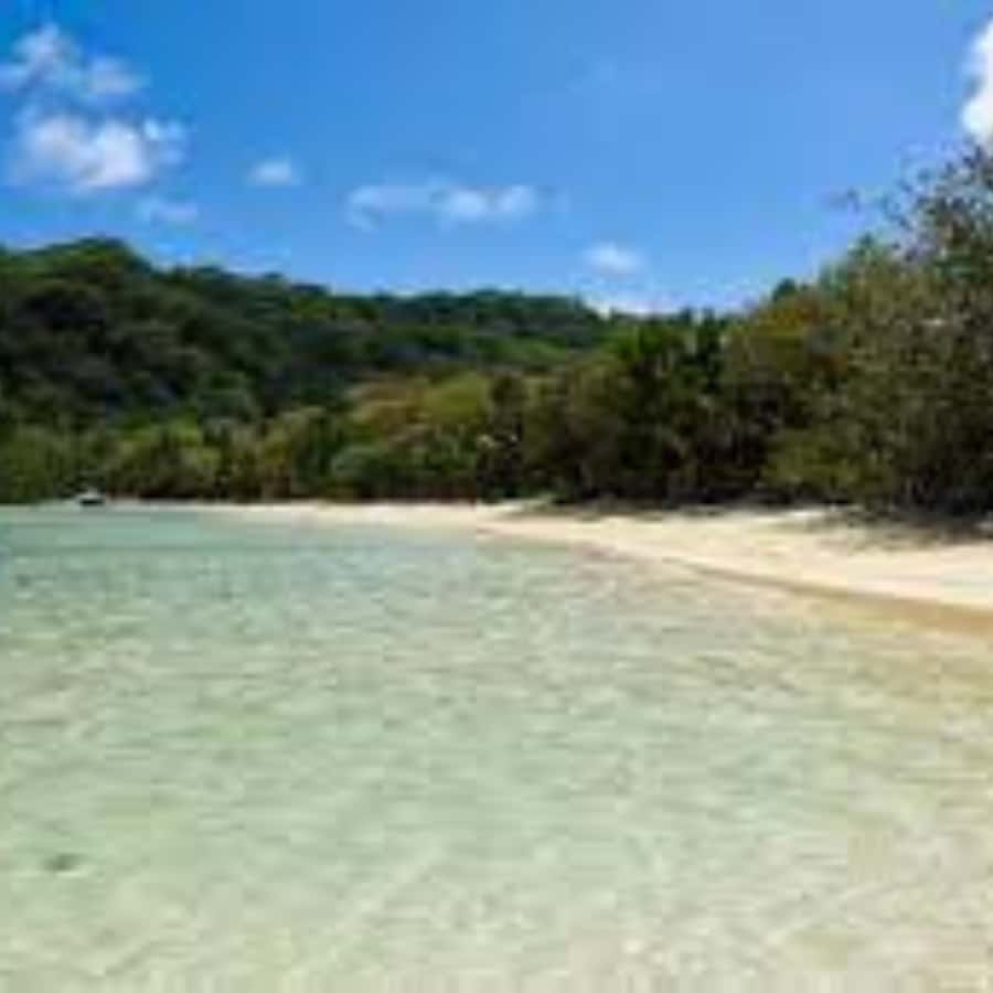 Mahe Discovery Bus Tour - What the four-hour beach tour is really for