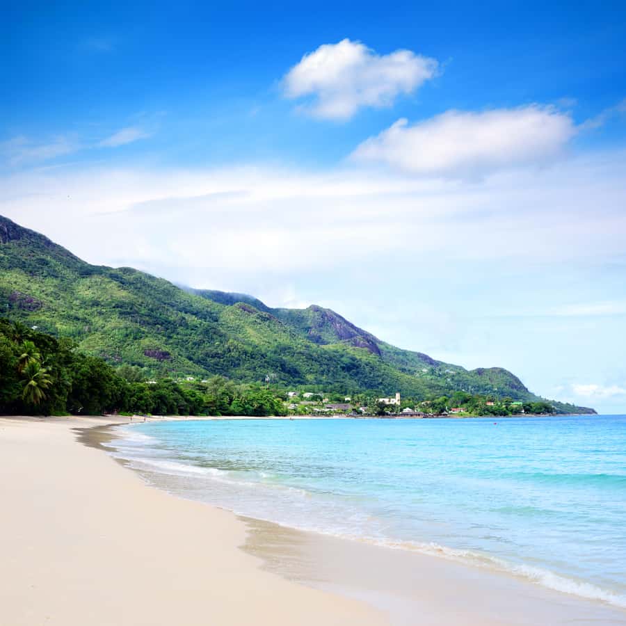 Mahe Discovery Bus Tour - The driver makes or breaks the experience