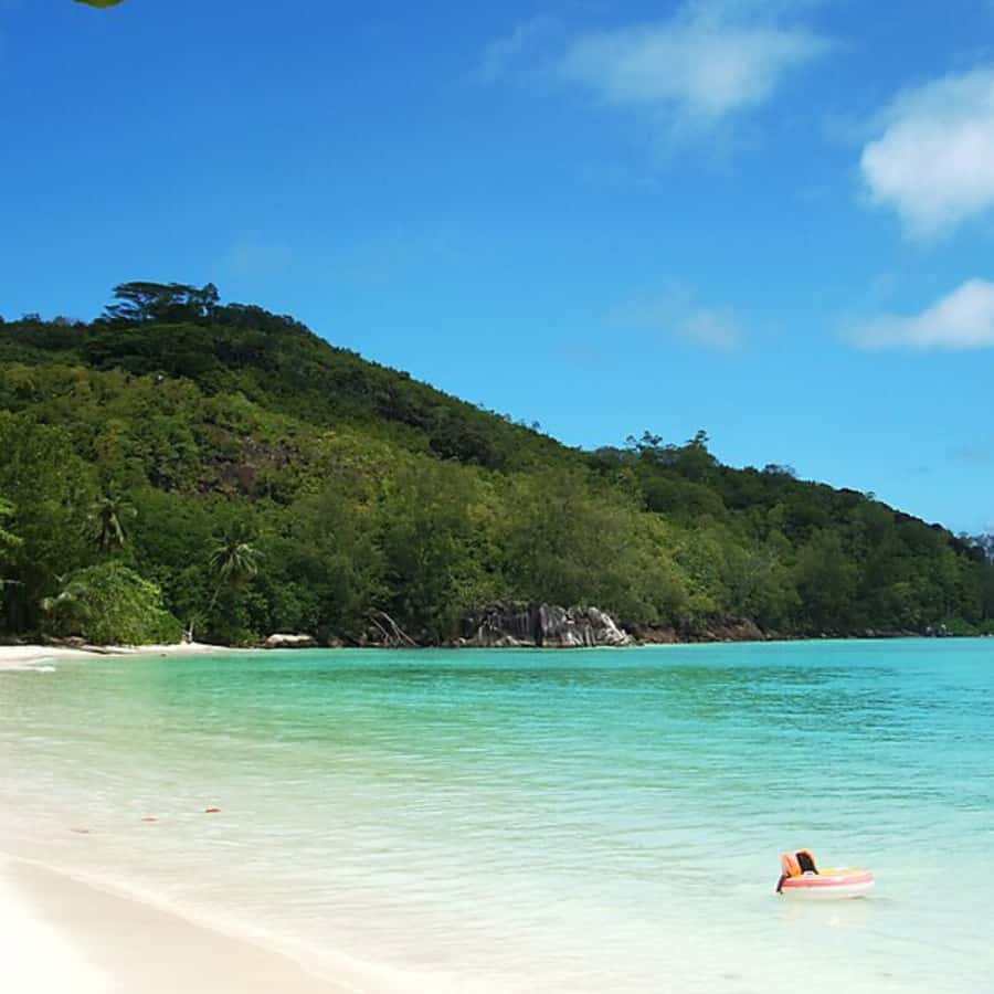 Mahe Discovery Bus Tour - Food, weather, and what to pack