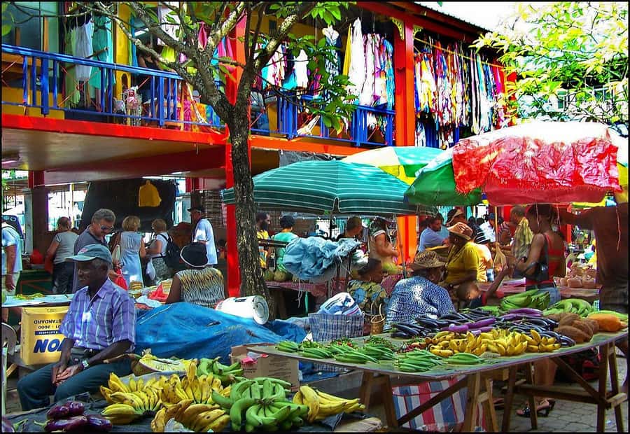 Mahé Island: Island Highlights Guided Day Trip with Lunch - Key points at a glance