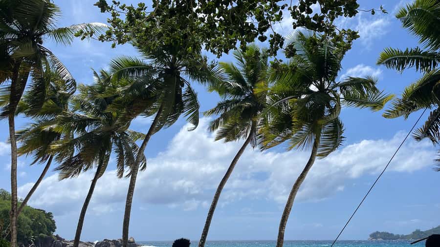 Mahe Island: Private Mahe Island Tour - Starting at Your Accommodation