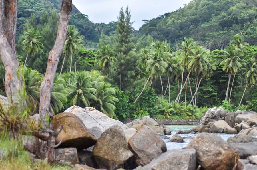 Mahe Island: Private Mahe Island Tour - Local Food and Drinks Along the Way
