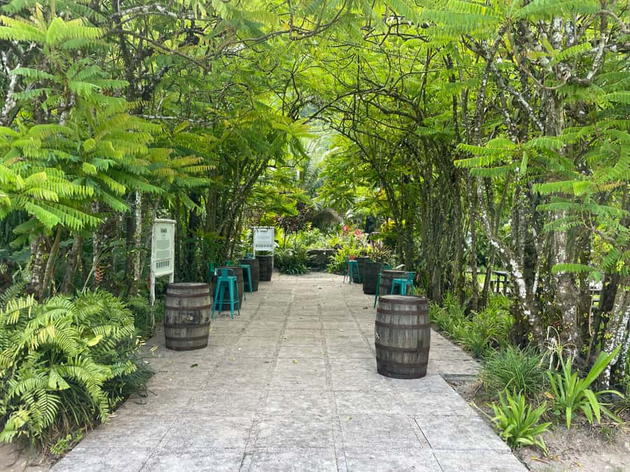 Mahe Island: Private Mahe Island Tour - The Guide and the Pace of the Day