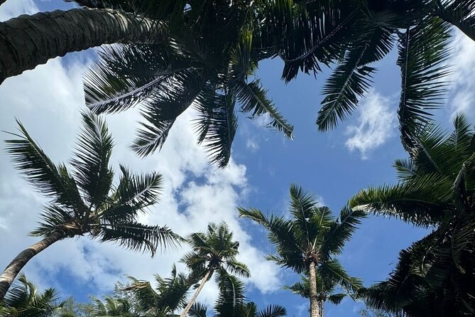 Mahe island Seychelles , unforgettable & adventurous tour - Victoria Market and everyday island life