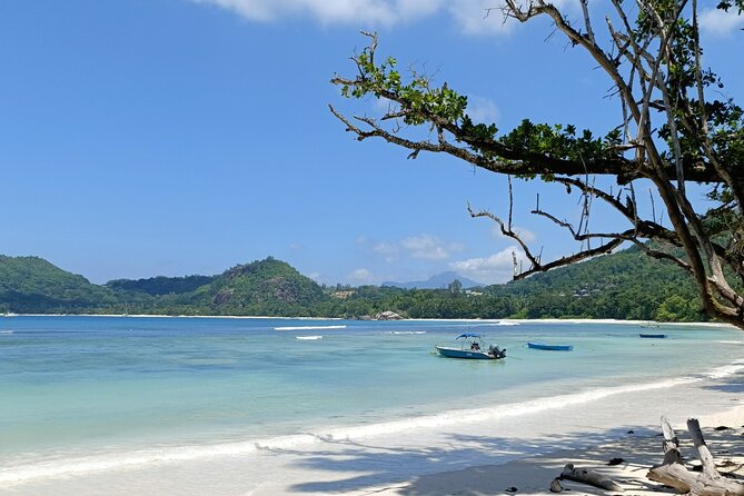Mahe island Seychelles , unforgettable & adventurous tour - Anse Takamaka Beach and the tortoise encounter