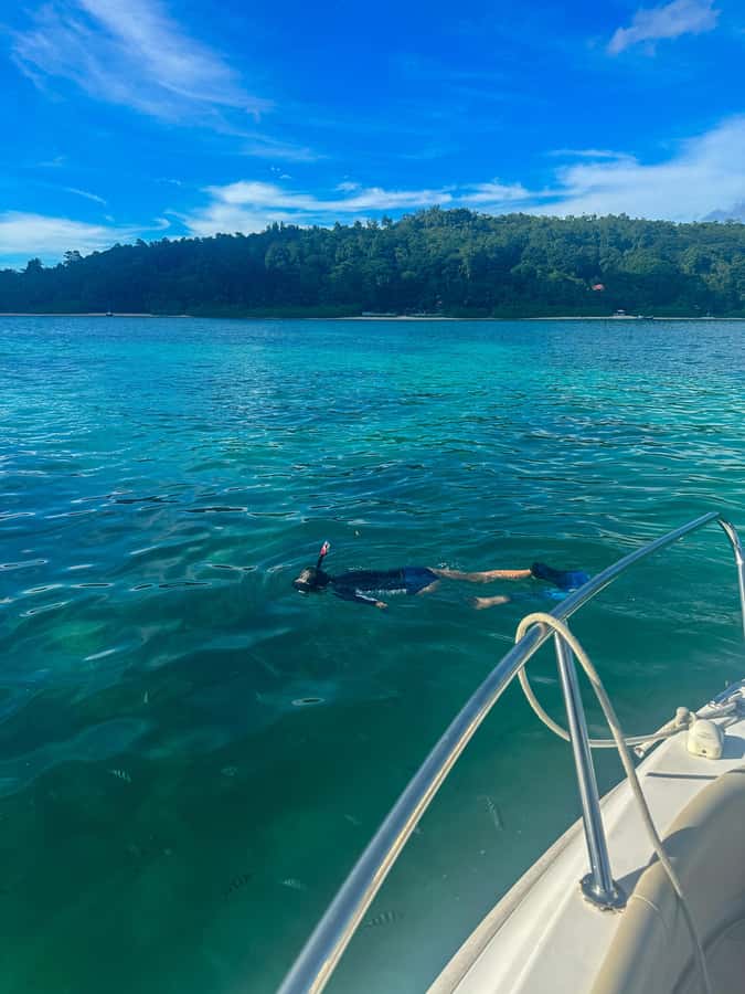 Mahe Island: St. Anne Marine Park Snorkeling Trip - Fish feeding and the wildlife question