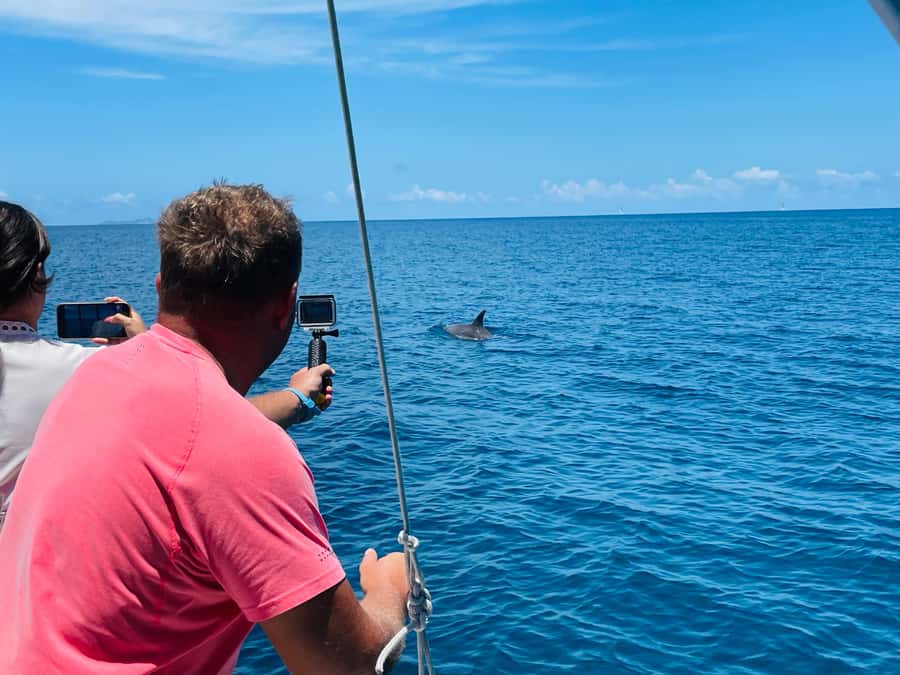 Mahe Island: St. Anne Marine Park Snorkeling Trip - The guides are a major part of the value